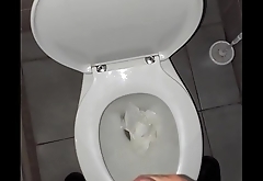 Homemade solo handjob in public restroom